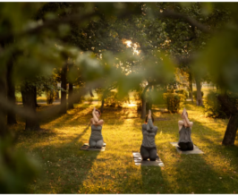 Yoga Retreat